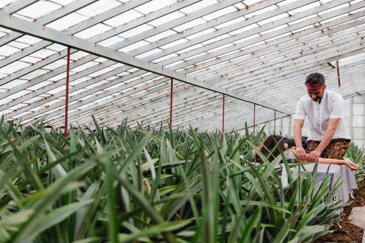 Herdade Do Ananas Ponta Delgada Eksteriør bilde