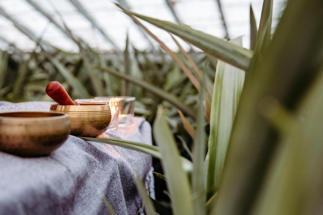 Herdade Do Ananas Ponta Delgada Eksteriør bilde